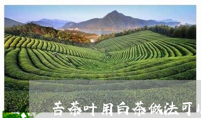 苦茶叶用白茶做法可以吗/2023032747362