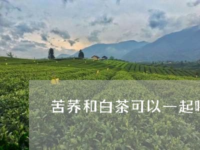 苦荞和白茶可以一起喝吗/2023032764159