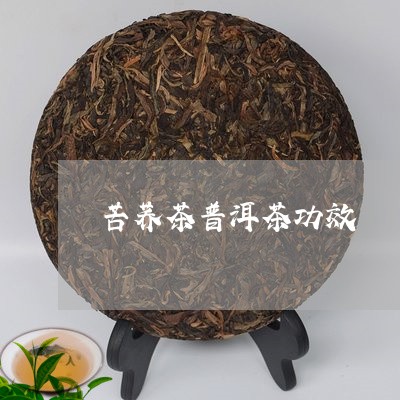 苦荞茶普洱茶功效/2023031649362