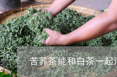 苦荞茶能和白茶一起泡吗/2023032752603