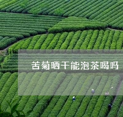 苦菊晒干能泡茶喝吗/2023032070692