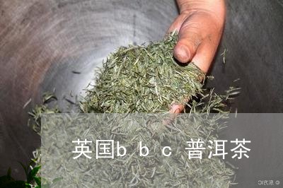 英国bbc普洱茶/2023031667248