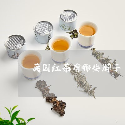 英国红茶有哪些牌子/2023041642061