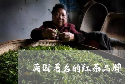 英国著名的红茶品牌/2023041575826