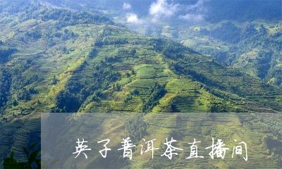 英子普洱茶直播间/2023041045258