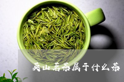 英山茗茶属于什么茶/2023041505947