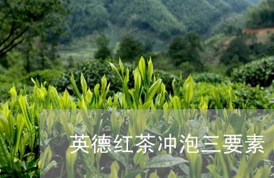 英德红茶冲泡三要素/2023041498271