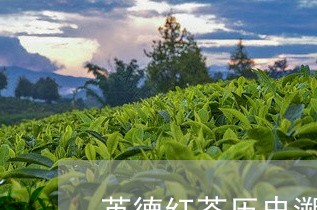 英德红茶历史溯源/2023032441493