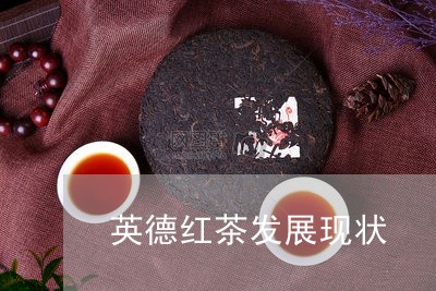 英德红茶发展现状/2023032431574