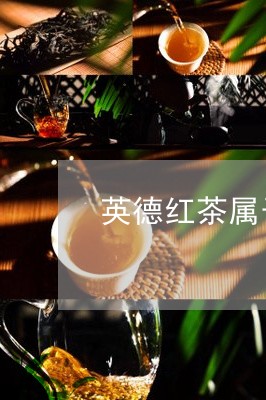 英德红茶属于什么茶/2023041683928