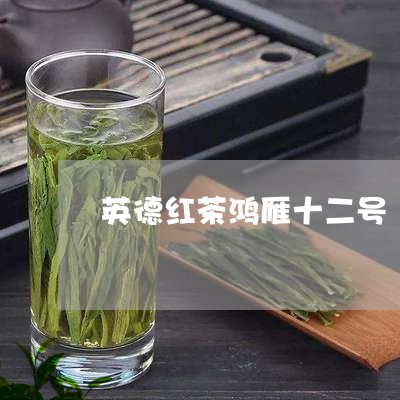 英德红茶鸿雁十二号/2023041458381