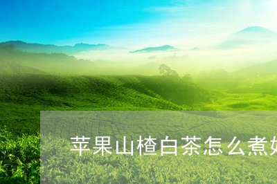 苹果山楂白茶怎么煮好喝/2023032792338