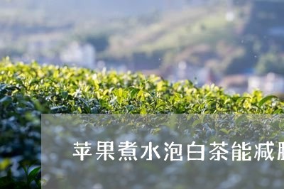 苹果煮水泡白茶能减肥吗/2023032712625