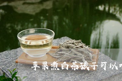 苹果煮白茶孩子可以喝吗/2023032742936