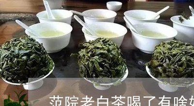 范院老白茶喝了有啥好处/2023032820473