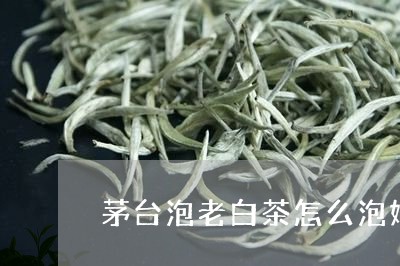 茅台泡老白茶怎么泡好喝/2023032840694