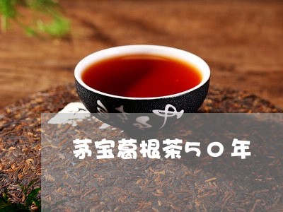 茅宝葛根茶50年/2023032403036