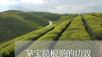 茅宝葛根茶的功效/2023032548383