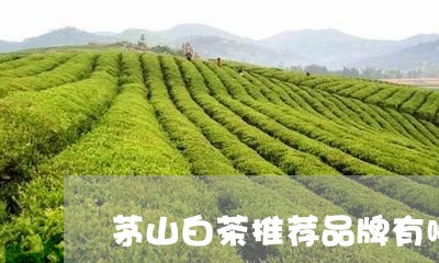 茅山白茶推荐品牌有哪些/2023032826250