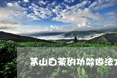 茅山白茶的功效做法大全/2023032879181