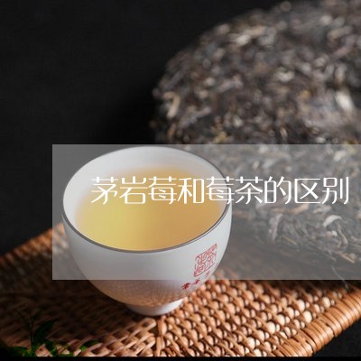 茅岩莓和莓茶的区别/2023032119372