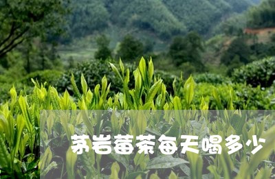 茅岩莓茶每天喝多少/2023041546159