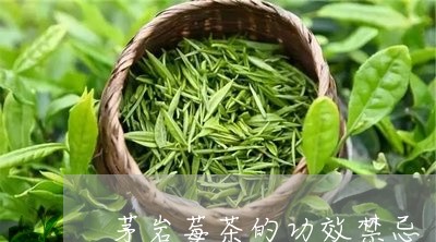 茅岩莓茶的功效禁忌/2023032059381