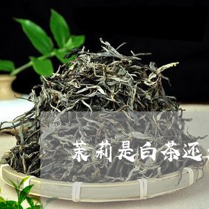 茉莉是白茶还是花茶好呢/2023032879390