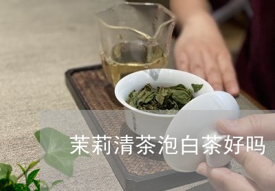 茉莉清茶泡白茶好吗/2023032819470