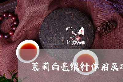 茉莉白毫银针作用及功效/2023032808593