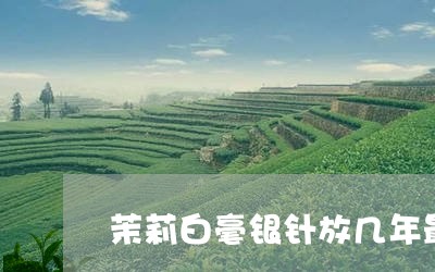 茉莉白毫银针放几年最好/2023032838571