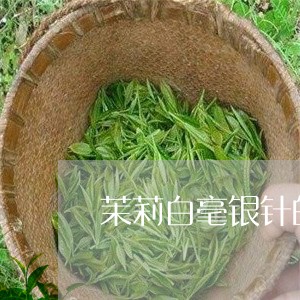 茉莉白毫银针的做法视频/2023032884737