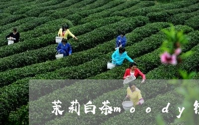 茉莉白茶moody镜片/2023032884816