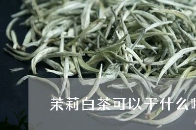 茉莉白茶可以干什么喝呢/2023032861037