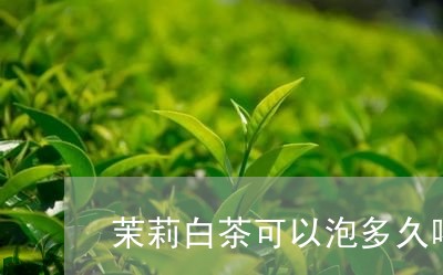 茉莉白茶可以泡多久喝完/2023032814817