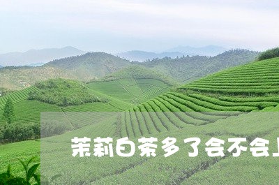 茉莉白茶多了会不会上火/2023032820571