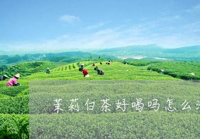 茉莉白茶好喝吗怎么泡水/2023032817491