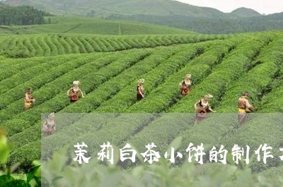 茉莉白茶小饼的制作方法/2023032844959