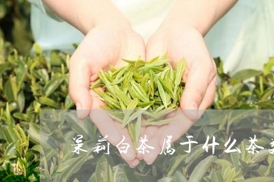 茉莉白茶属于什么茶类的/2023032813948