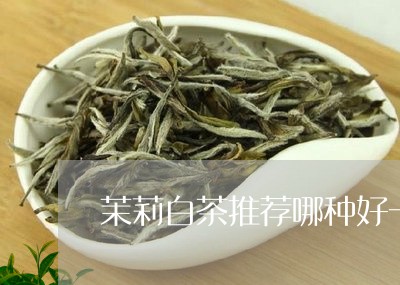 茉莉白茶推荐哪种好一点/2023032851603