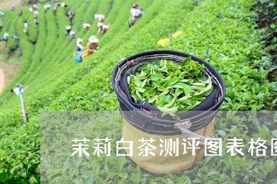 茉莉白茶测评图表格图片/2023032803027