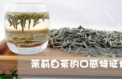 茉莉白茶的口感特征介绍/2023032885169