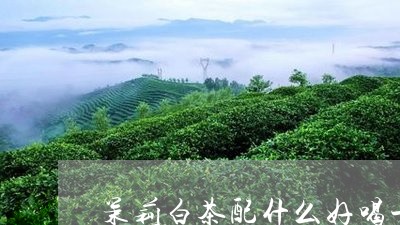 茉莉白茶配什么好喝一点/2023032890591