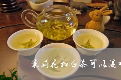 茉莉花和白茶可以混喝吗/2023032848695