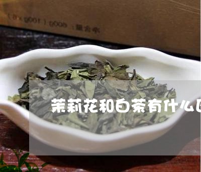 茉莉花和白茶有什么区别/2023032841695