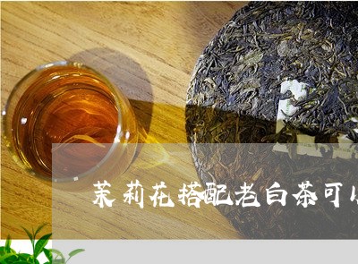 茉莉花搭配老白茶可以吗/2023032832816