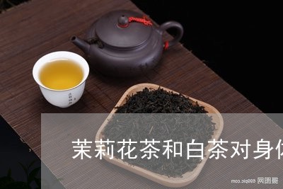 茉莉花茶和白茶对身体好/2023032853823