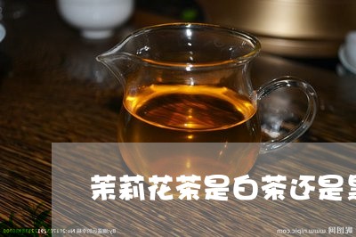 茉莉花茶是白茶还是黑茶/2023032870383