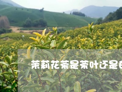 茉莉花茶是茶叶还是白茶/2023032887159