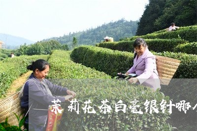 茉莉花茶白毫银针哪个好/2023032815160